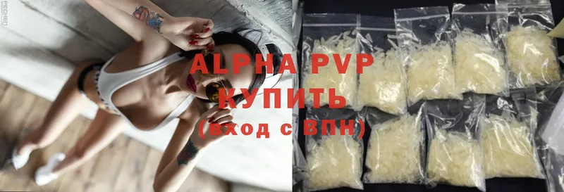 A-PVP СК  Пошехонье 