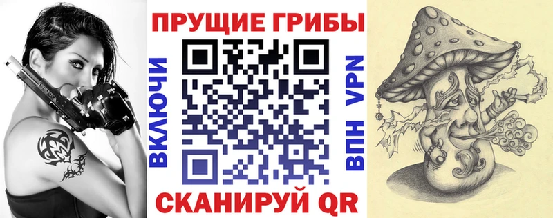 как найти закладки  Пошехонье  Галлюциногенные грибы мухоморы 